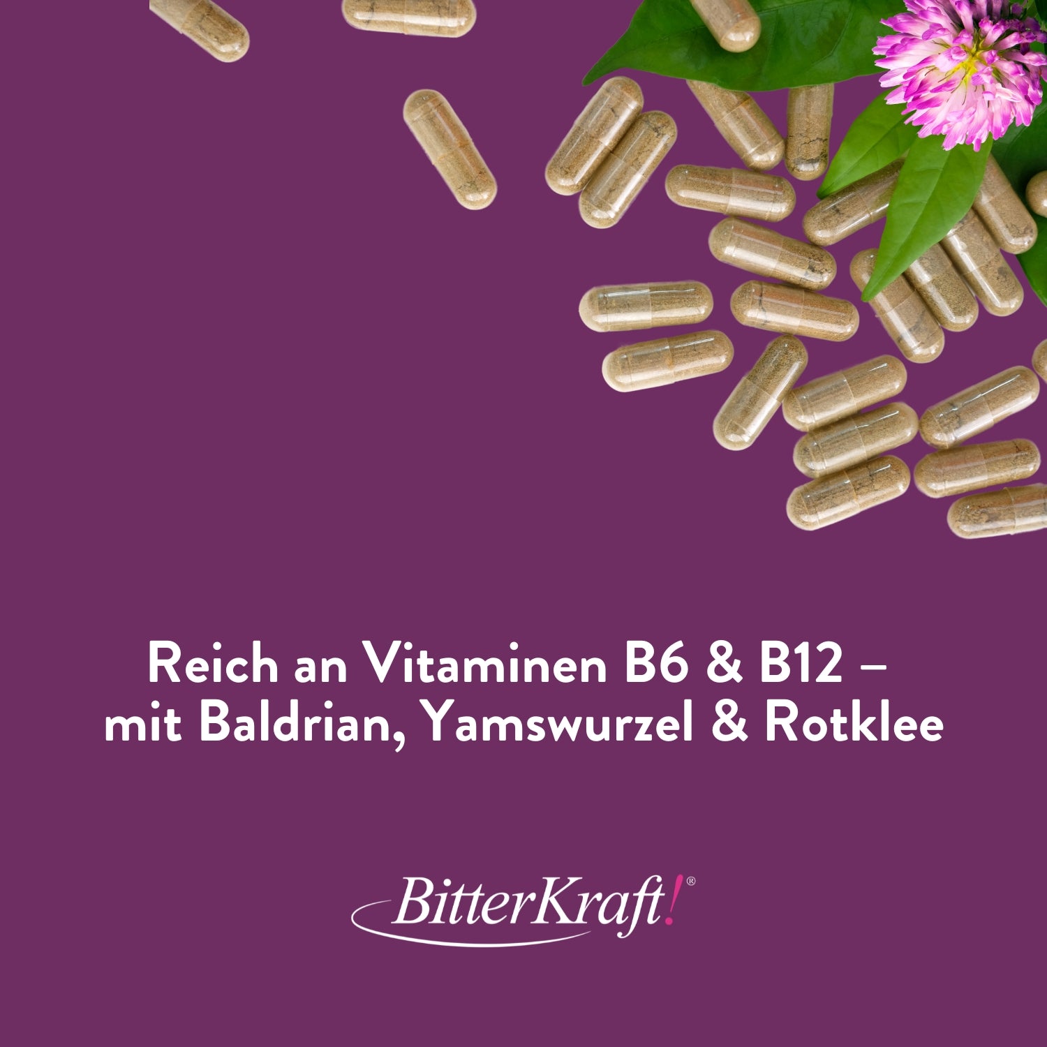 Hildegards Wechsel-Kräuter – 3er-Sparpaket