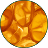 Biotin und Vitamin B5